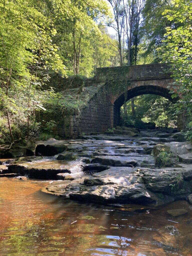 Beck at Falling Foss