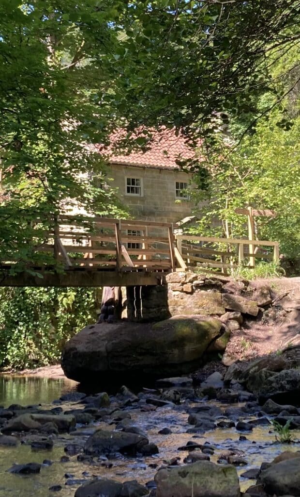 Midge Hall, Falling Foss Tea Garden