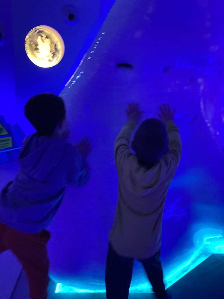 Feeling an iceberg at Dynamic Earth, Edinburgh