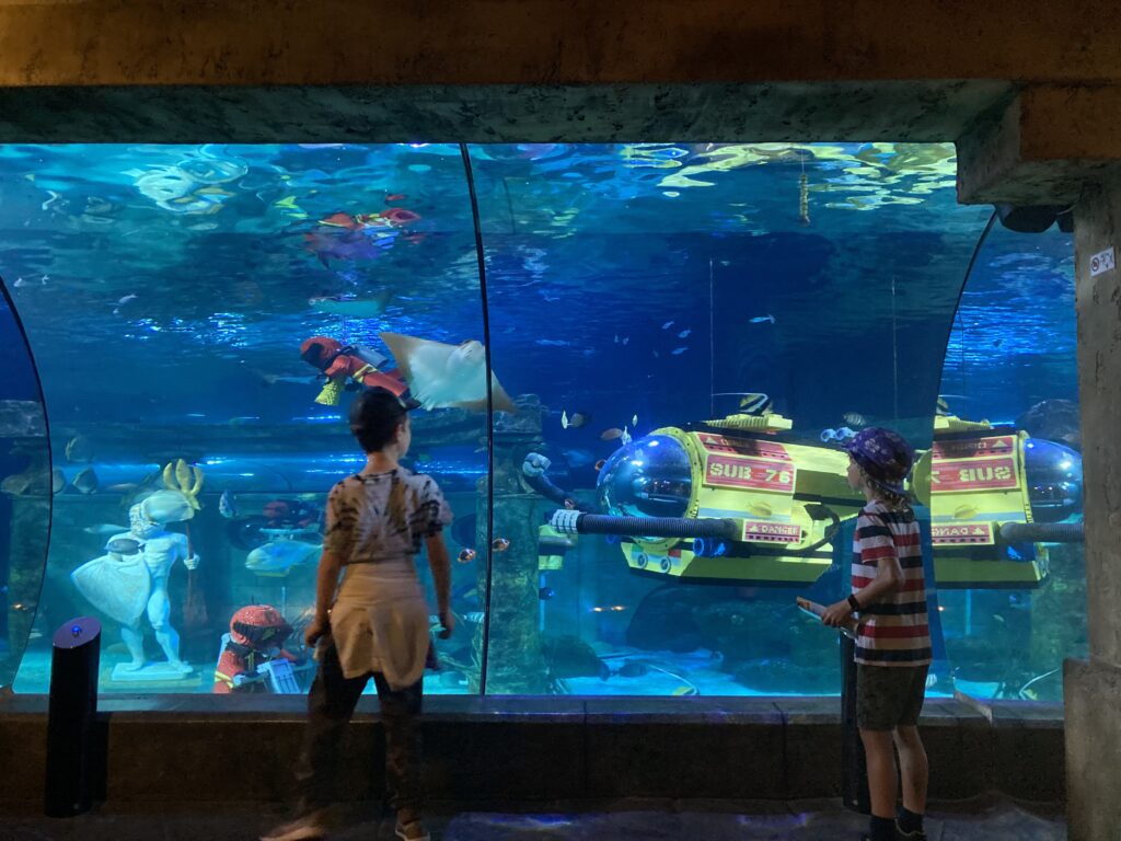 Sealife at Legoland Billund