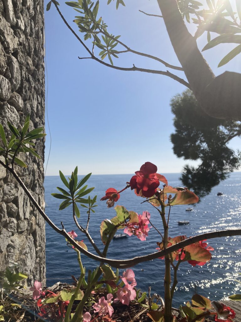 Views from the path to Spiaggia Fornillo Positano